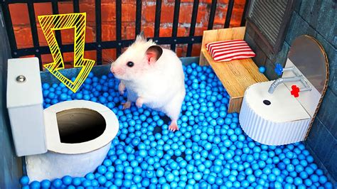 Hamster Escapes the Creative Maze for Pets in real life